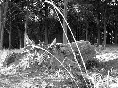 FDotografia Freelance